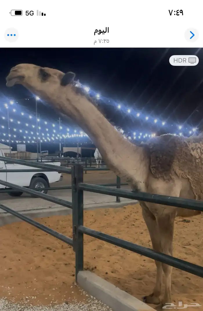 بكره كفووو 0