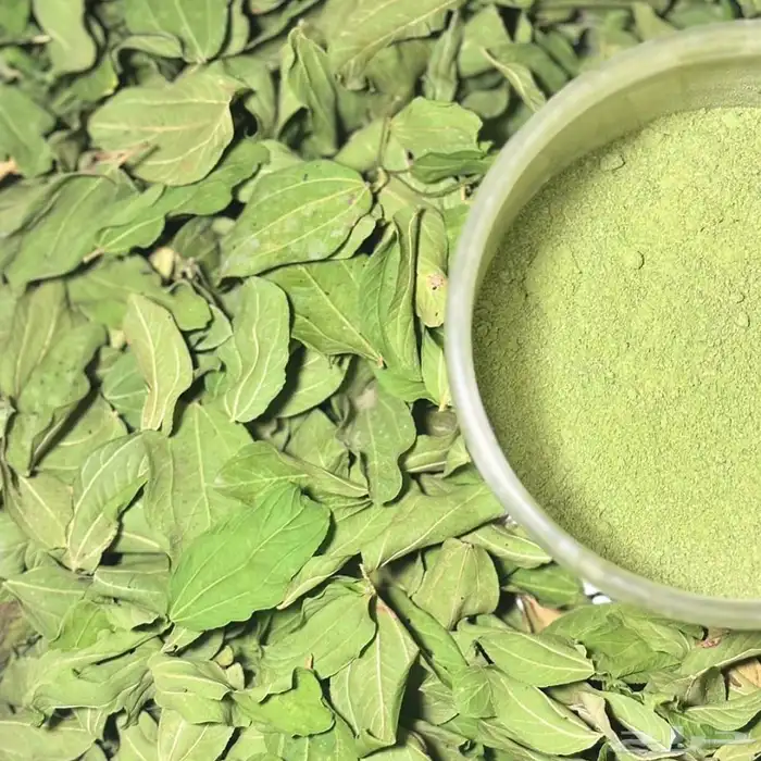 ابيع السدر المطحون انا اجمعه واطحنه 0