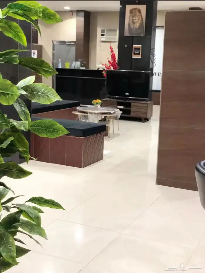 صالون نسائي للتقبيل 5