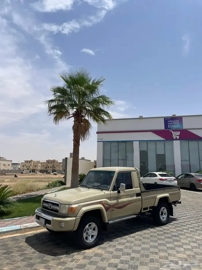 شاص 2009 رفرف شرط 0