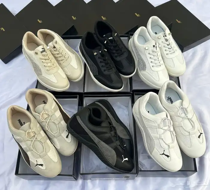 الشوزات 17