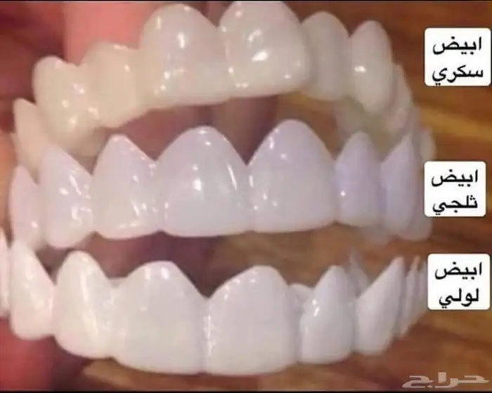 عرض أبتسامة هوليوود المتحركة الألمانية 6