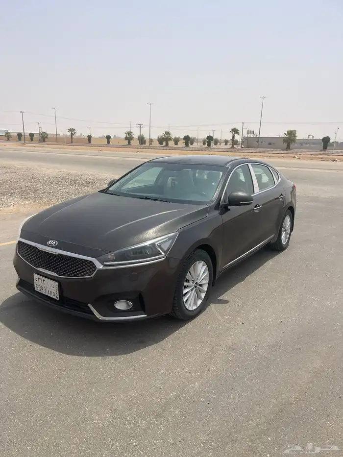 كادينزا 2018 0