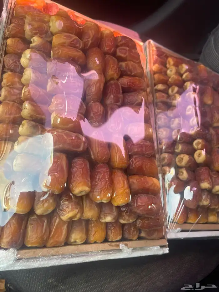صقعي فاخر العدد 9 كراتين السعر 100 1