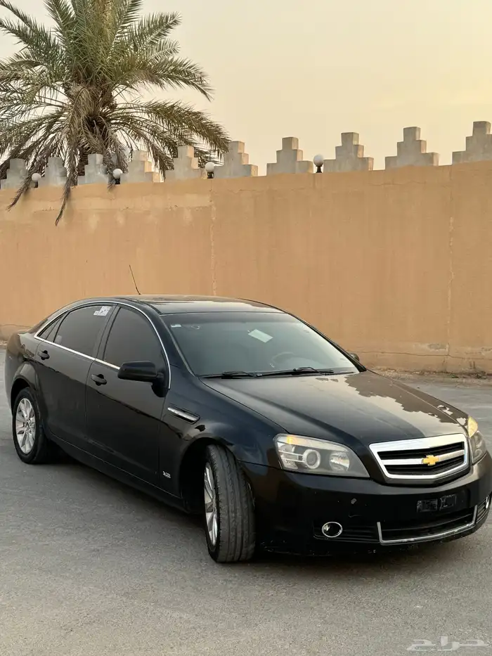 كابرس 2012 1