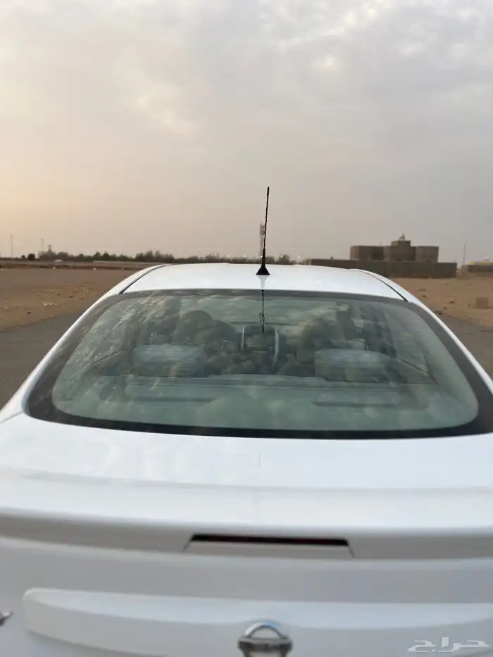 صني فل كامل كلاسي 2022 18