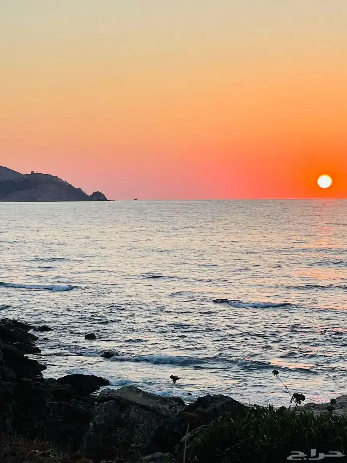 اررغب في معلم تقويه او معلمه لاثنين من الطلاب في المنزل 0