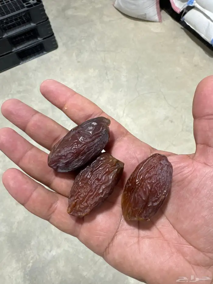 مجدولة فاخرة 0