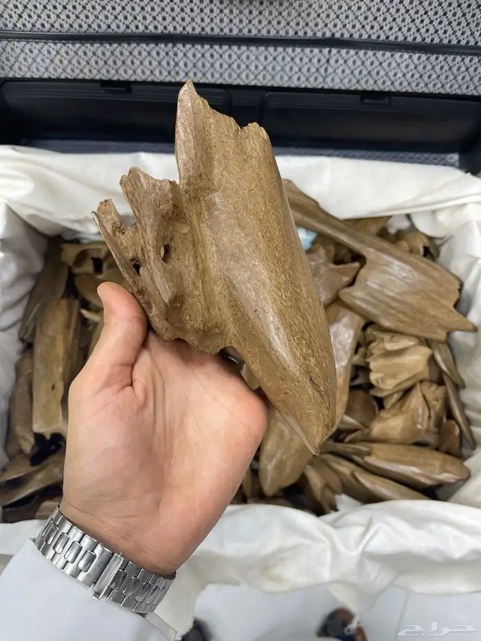 مطلوب عود طبيعي نادر (ورث مقتنيات) 0