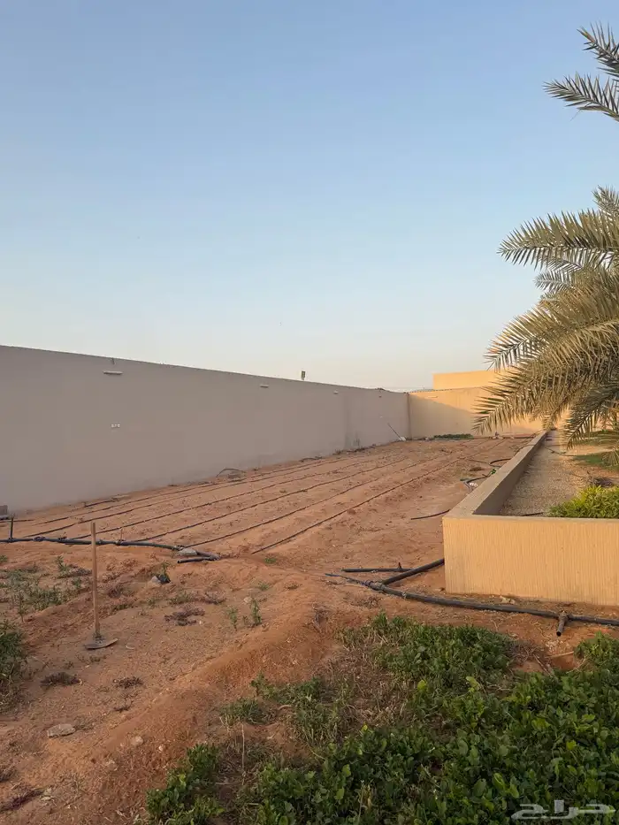 مزرعه واستراحه للايجار 4