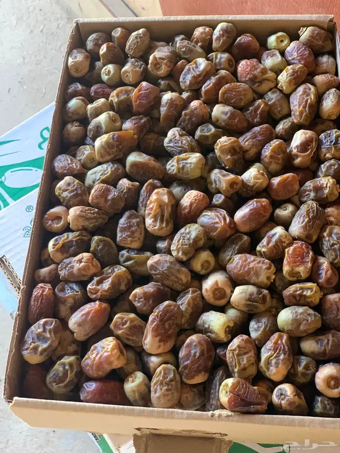 تمر ناشف 2