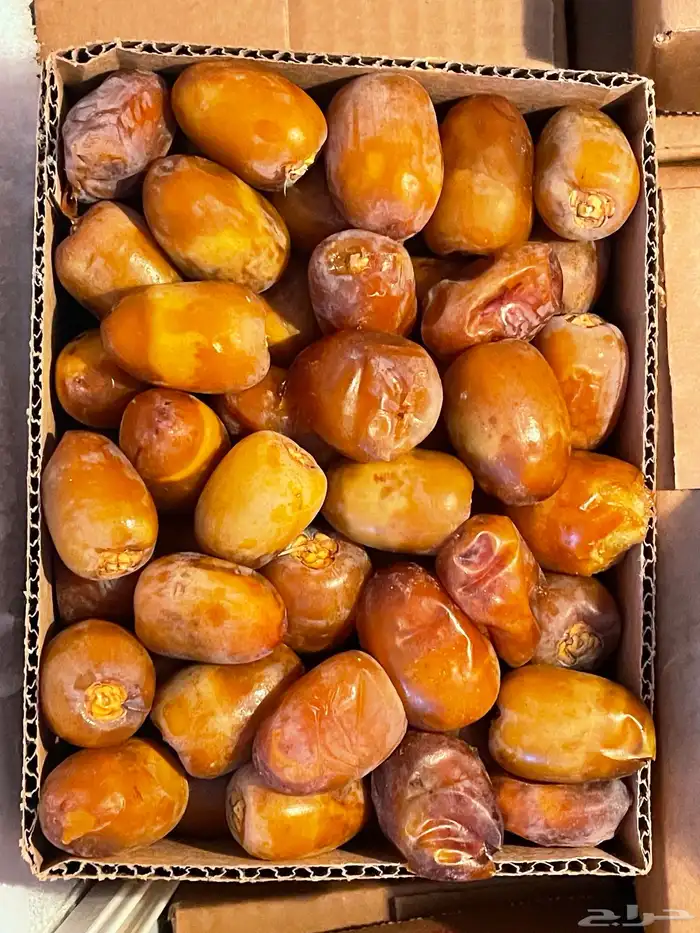 تمر رهاط نوعين مكتومي ومتلبن 0