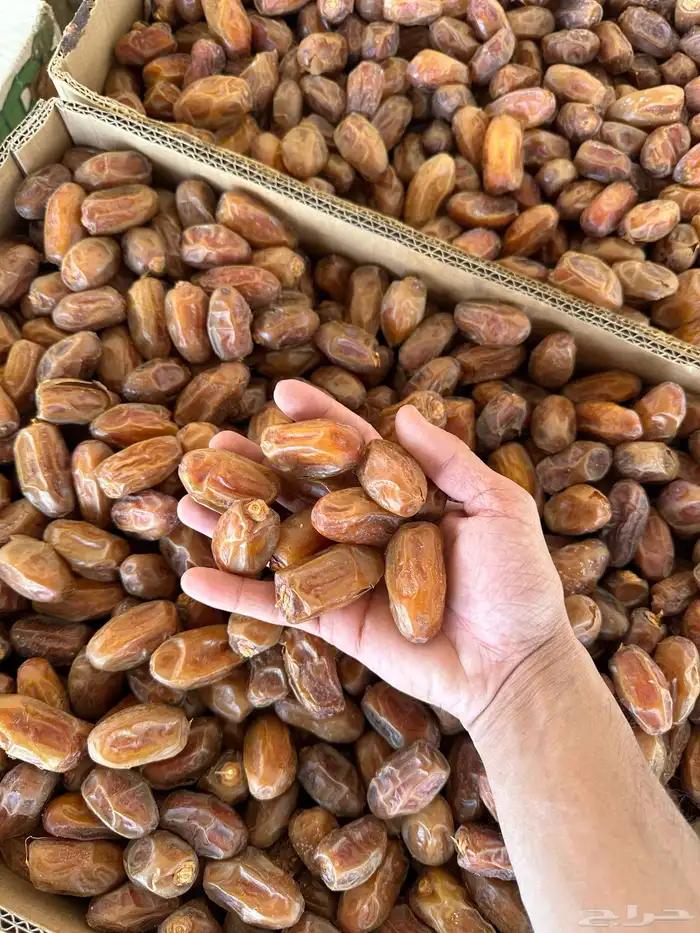 صفري حبه وسط جعبة 0