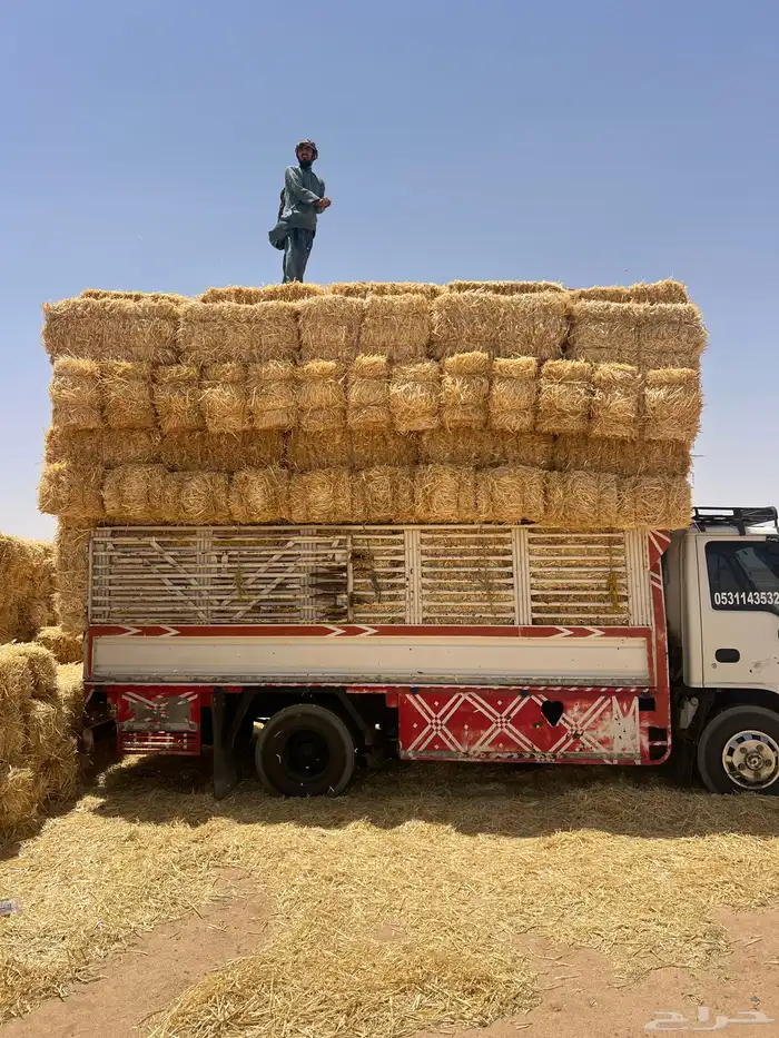 تبن بر صافي 0