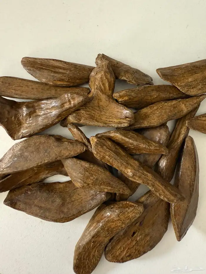 كلمتان و مروكي سوبر شغل نظيف جدا 1