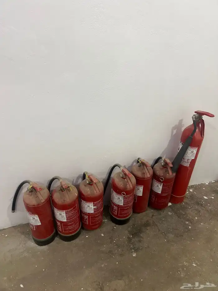 طفيات حرياق. 6 سغار. 1 كبير 1