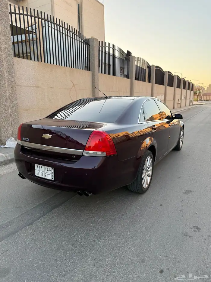 كابرس 2015 3