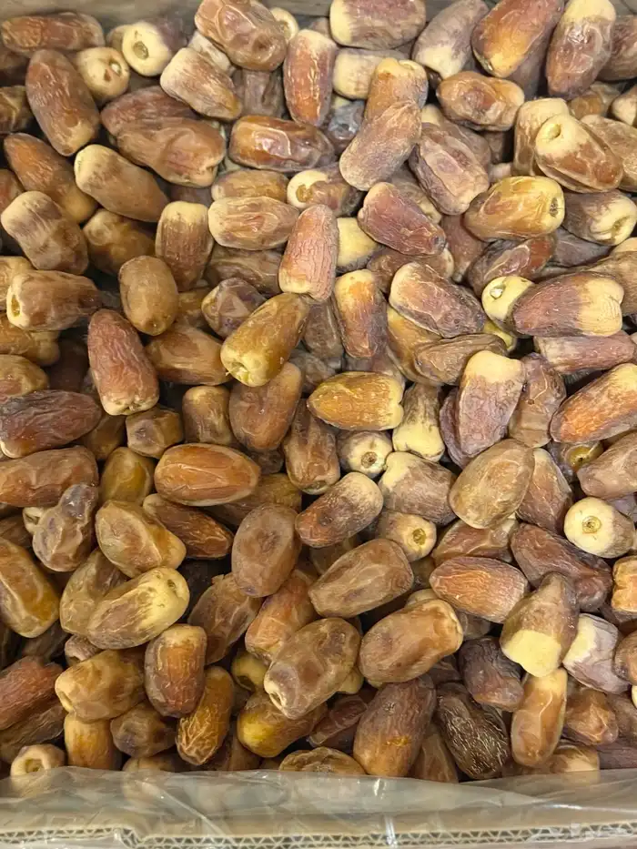 تمر صقعي للبيع 0