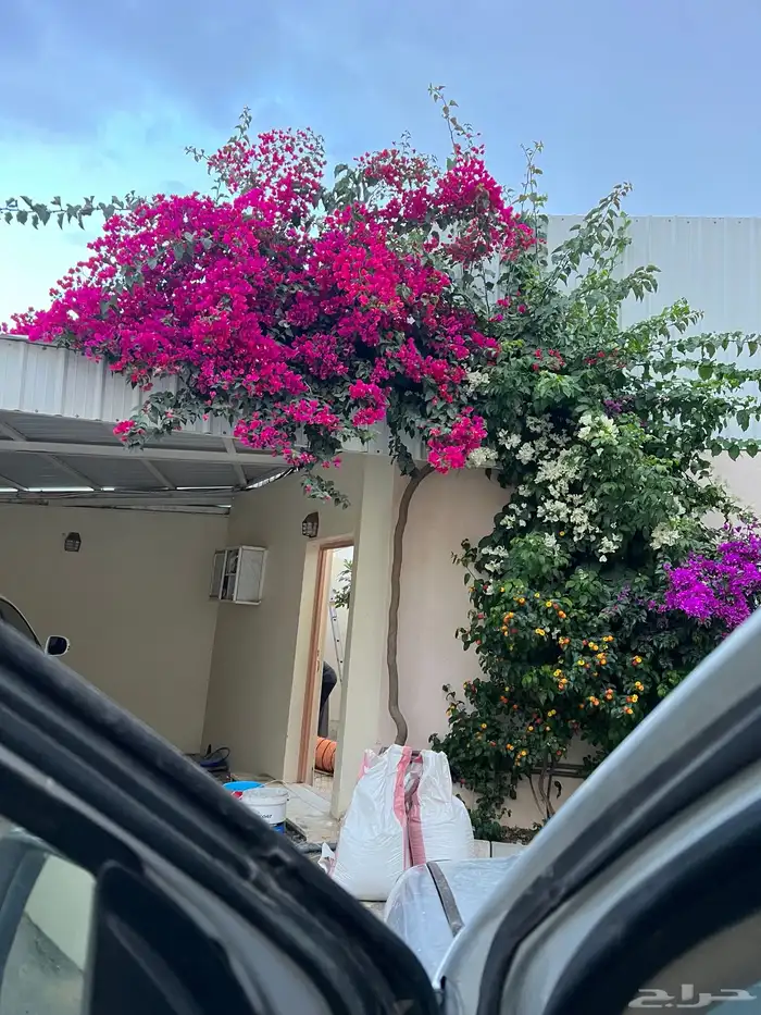 شركة عزل خزانات عزل اسطح كشف تسربات المياة عزل حمامات مسابح 9