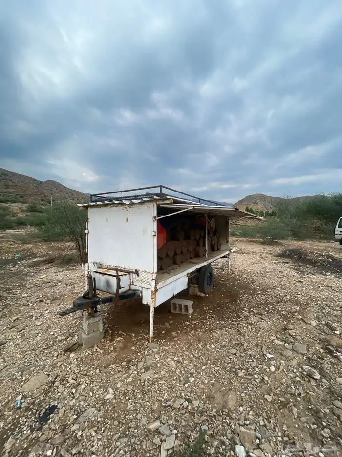 قاطره عربيه نحل 4