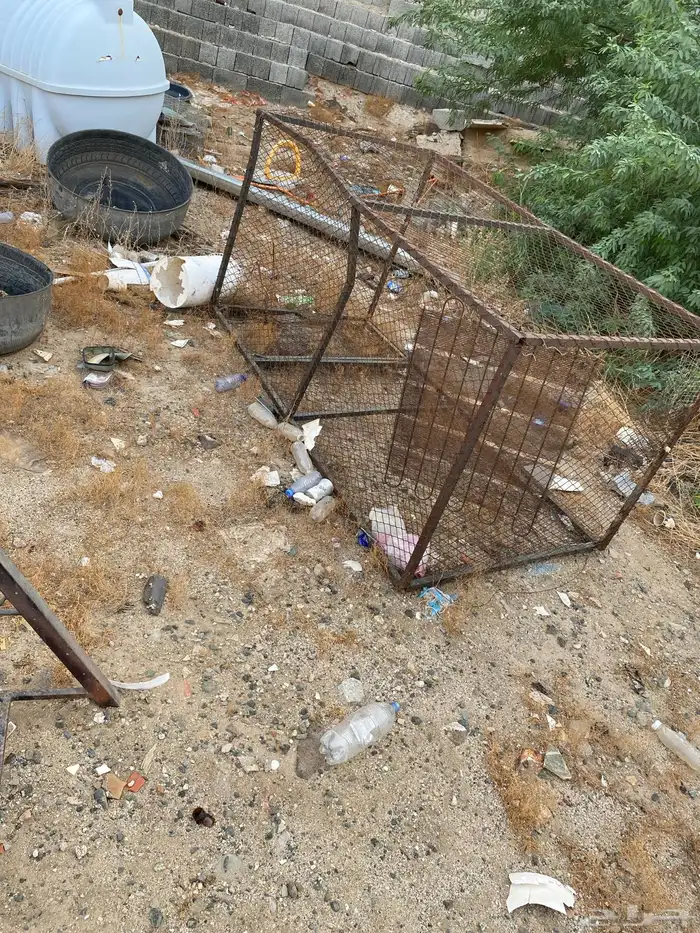 شبوك للبيع 2