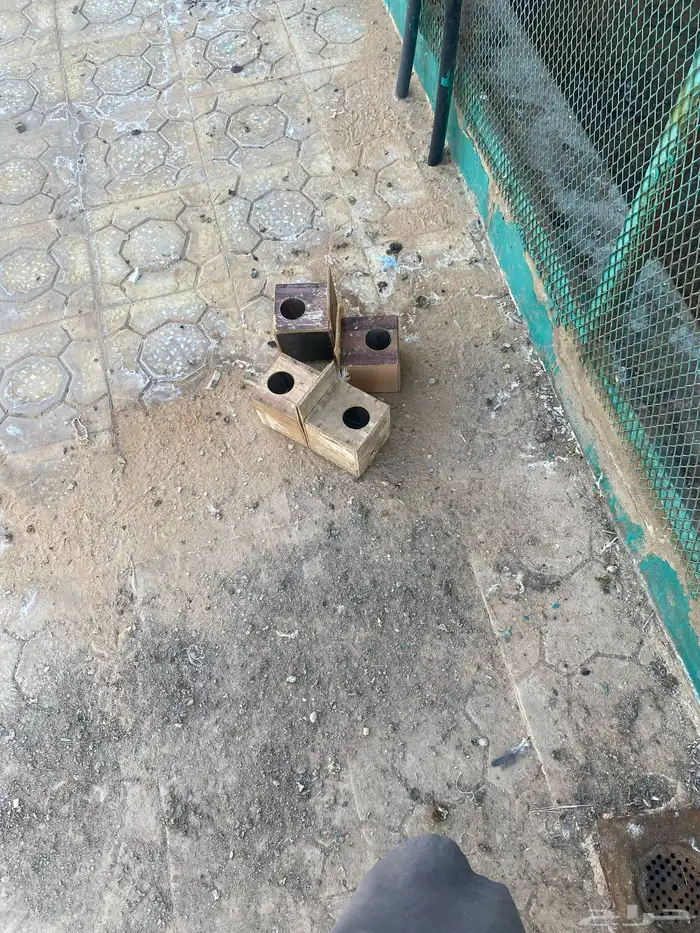 بيوت زبرا او بياضات للزبراء عددها صلاثين بحالج جيدة ومثبته 1