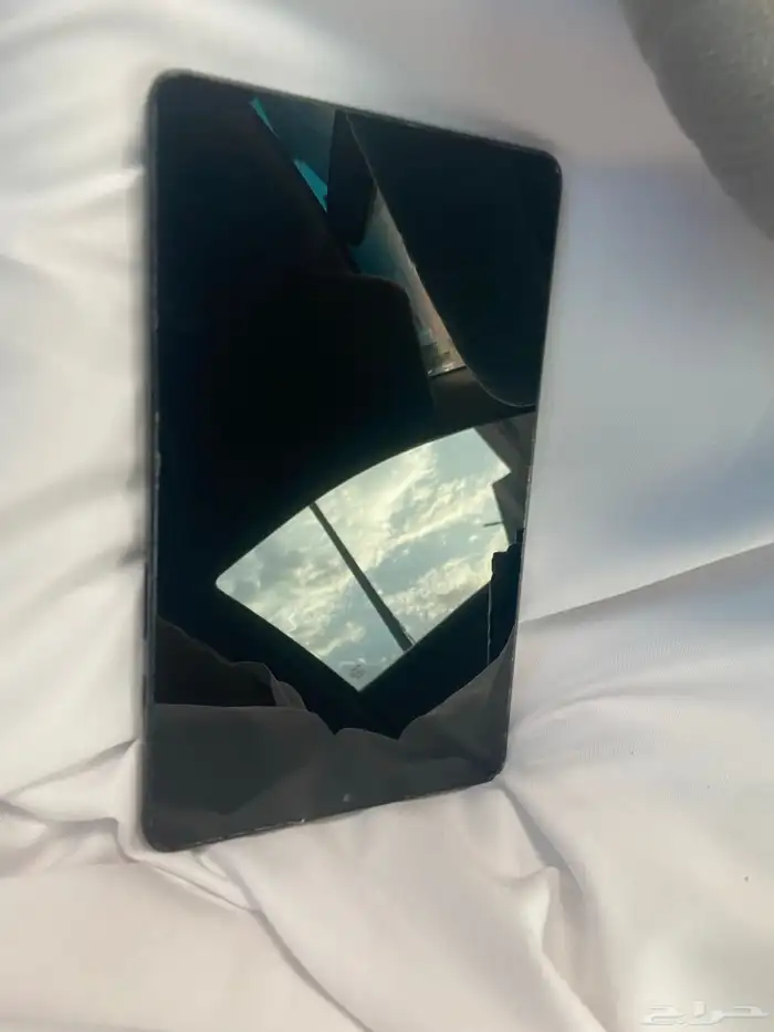 سامسونج تاب x110 3