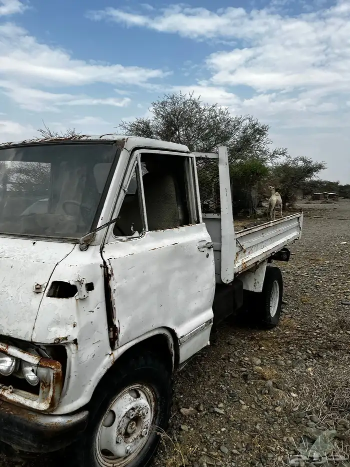 قلاب 78 مسقط 0