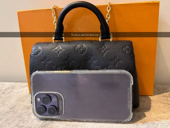 شنطة ماركة لويس فيتون Nano Madeleine LV 1