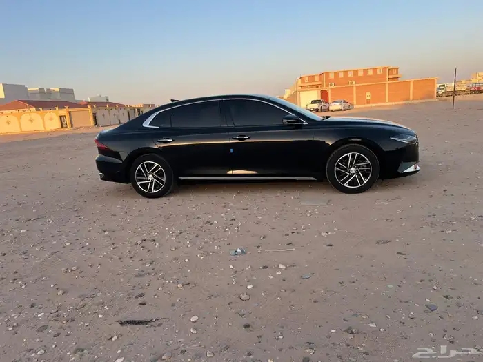 ازيرا 2021 8