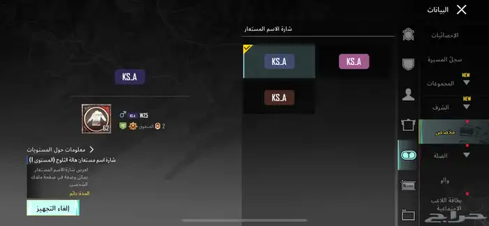 حساب ببجي أسم ثلاثي 66
