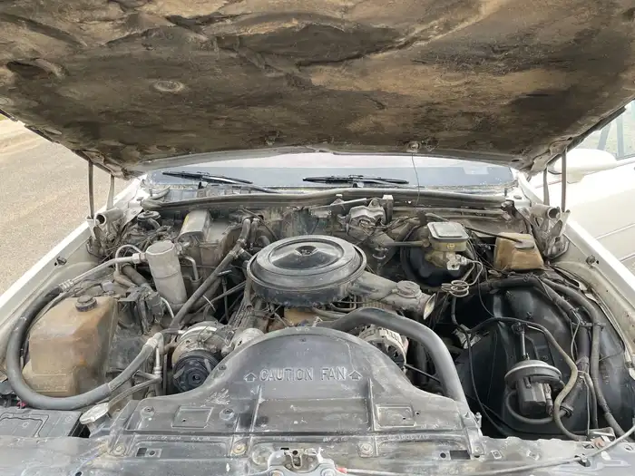 كابرس LS 1990 للبيع 24
