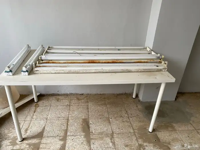 لمبات 2