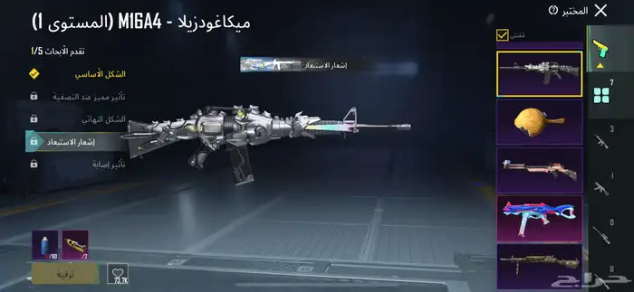 حساب ببجي 17