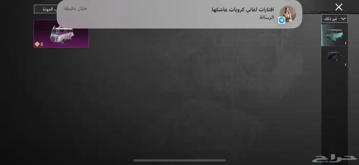 حساب ببجي رخيص 14