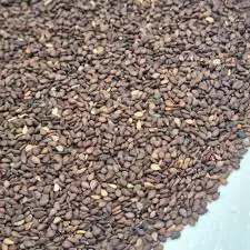 سمسم بلدي او جلجلان 0