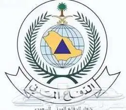 خدمات الامن والسلامة 0