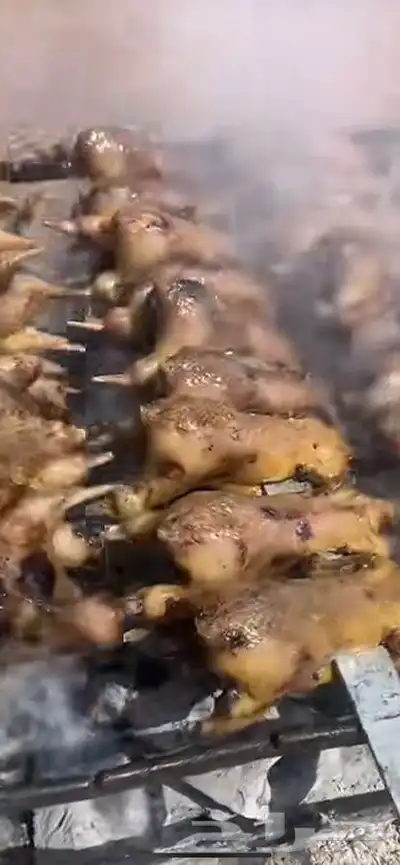 سمان منتوف وغير منتوف 0
