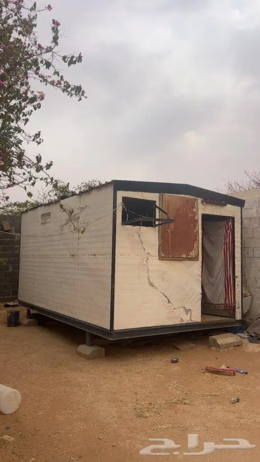 مطلوب معزا بدل بغرفة 1