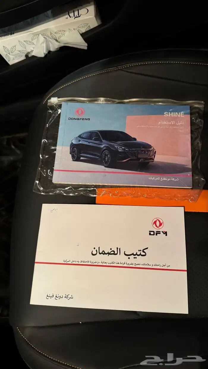 دونج فينج شاين 2024 10