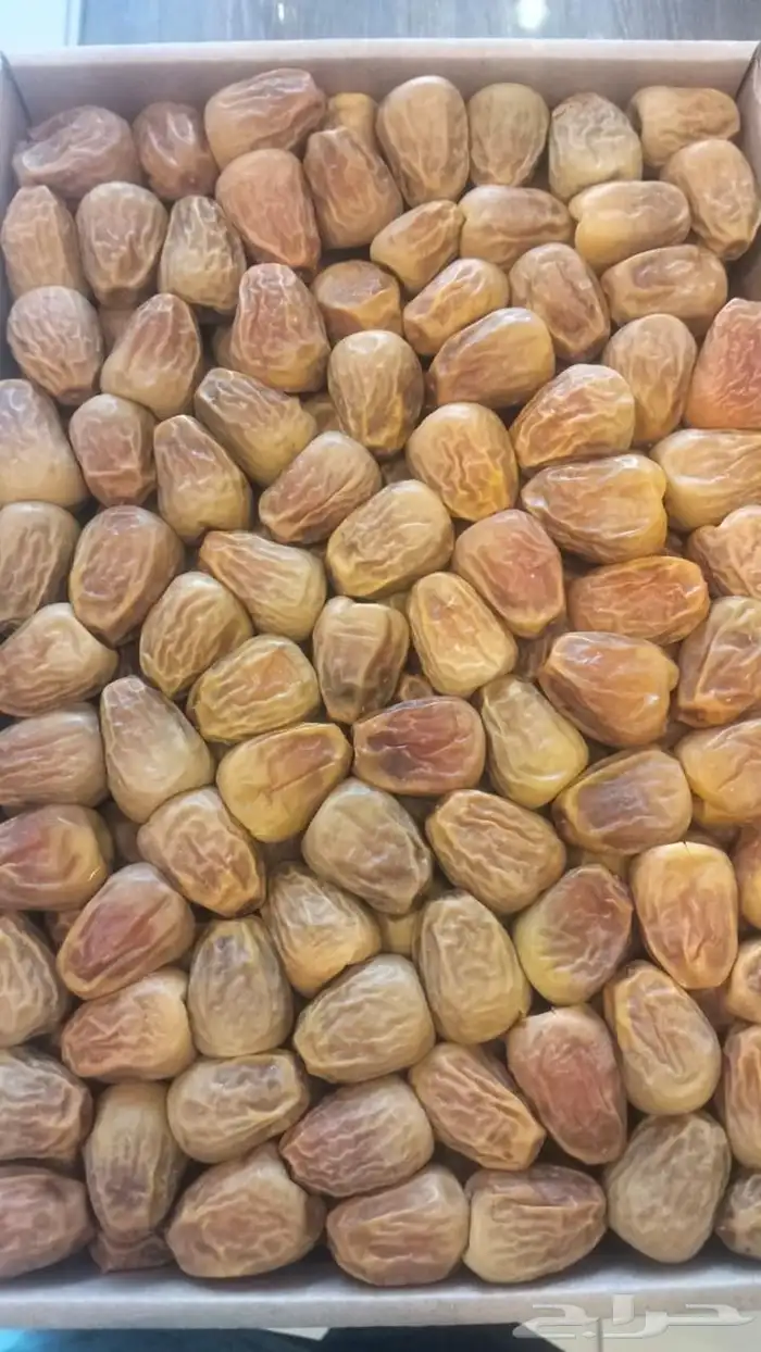 تمر مفتل جملة وقطاعي من مزرعتنا 0