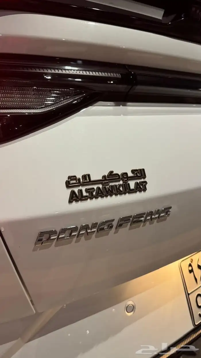 دونج فينج شاين 2024 6