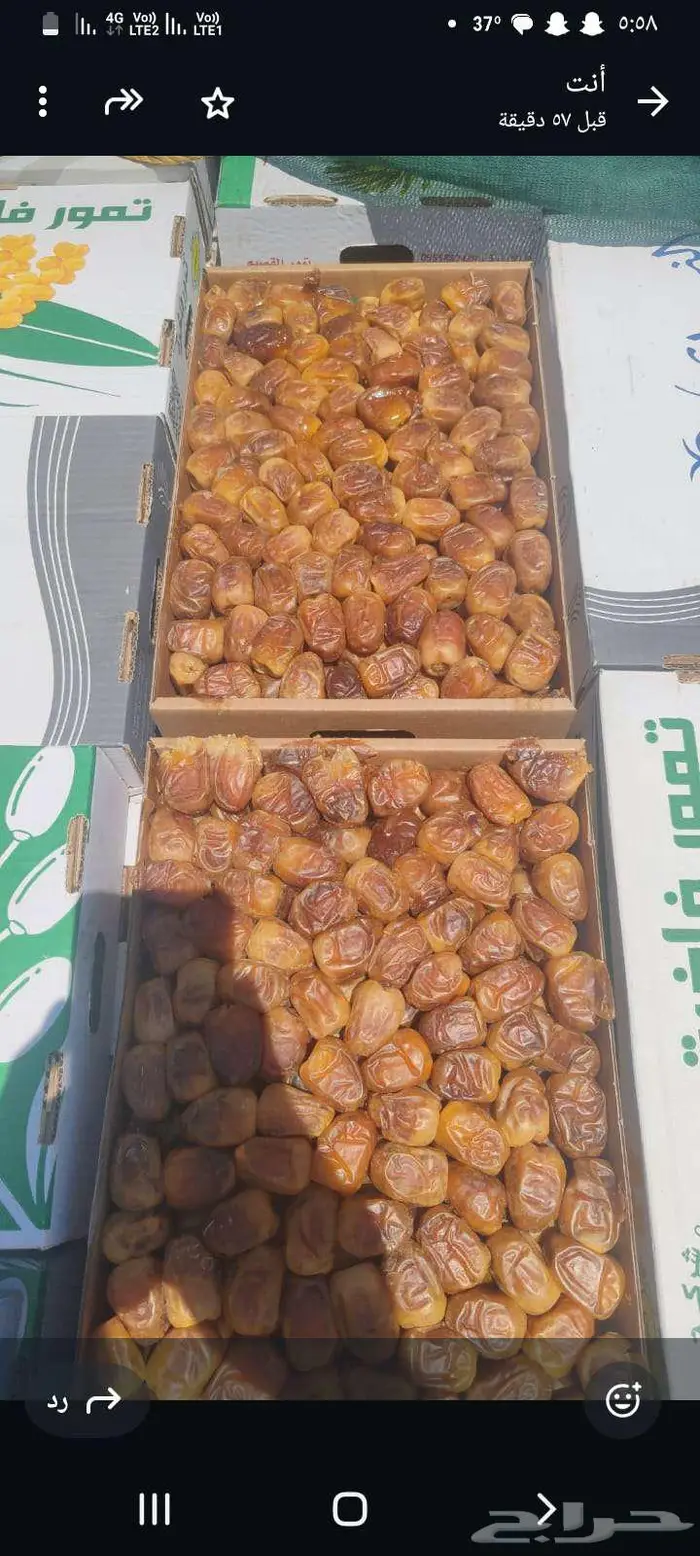 تمر رطب سكري 0