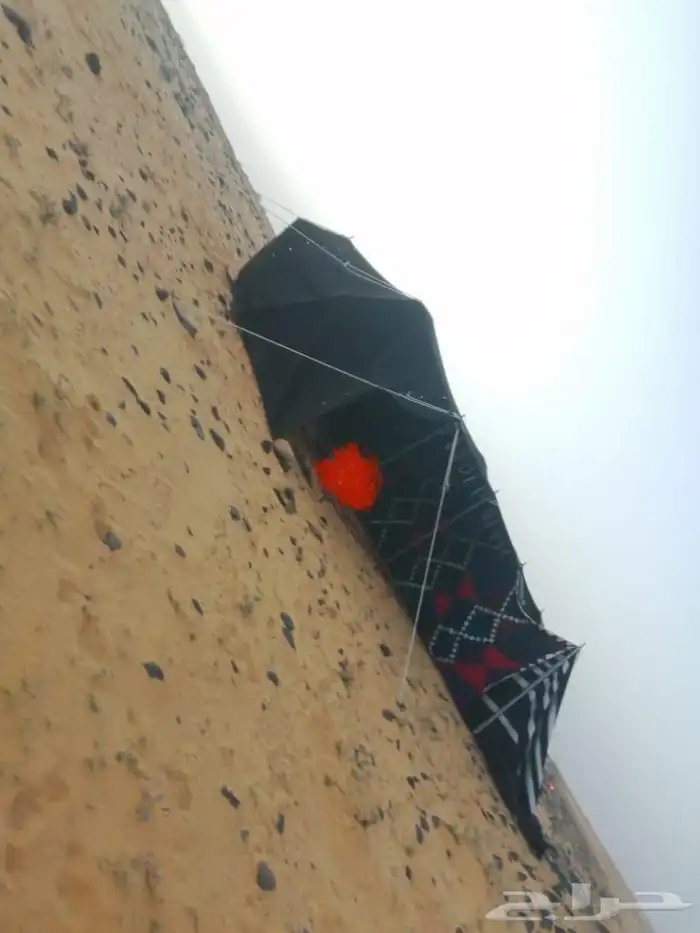 بيت شعر 3