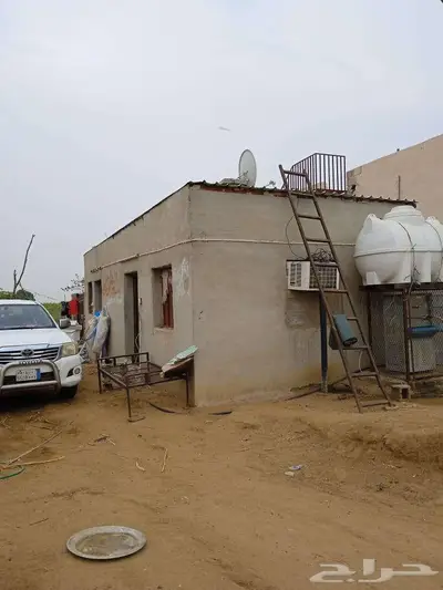 مزرعة للايجار 0
