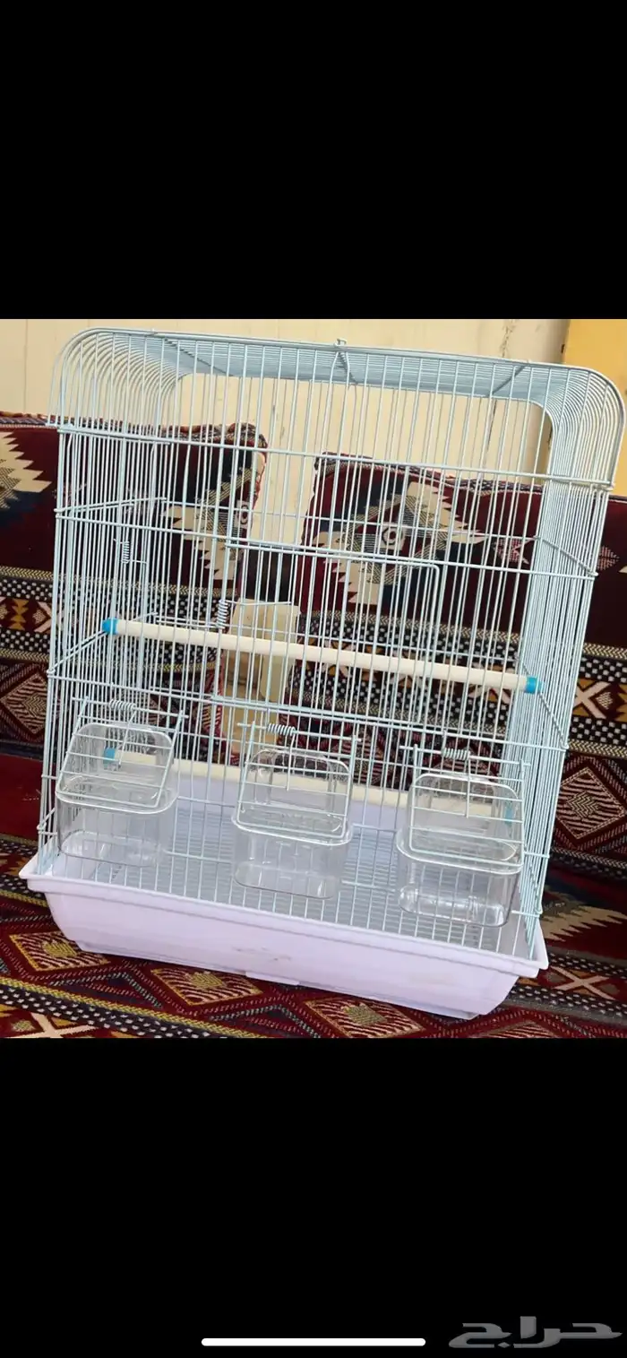 اقفاص طيور 2