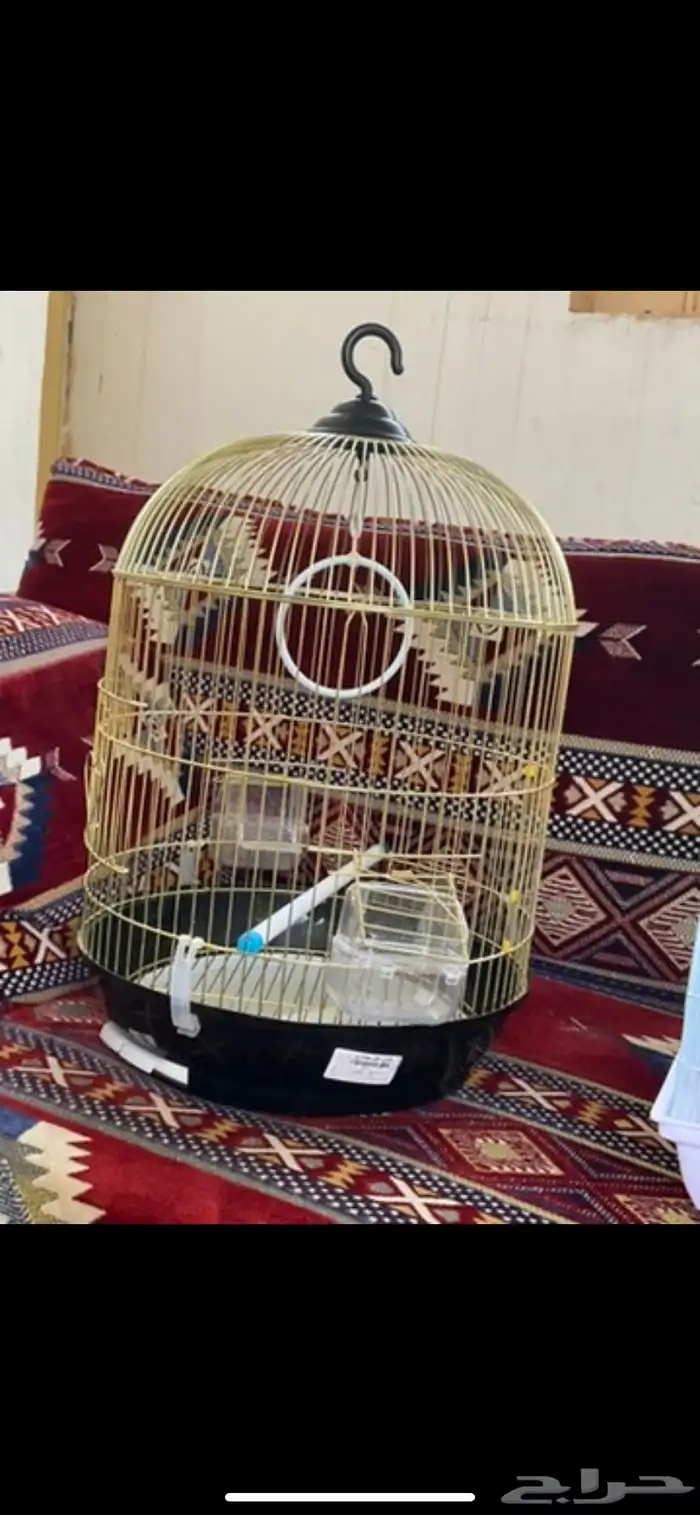 اقفاص طيور 0