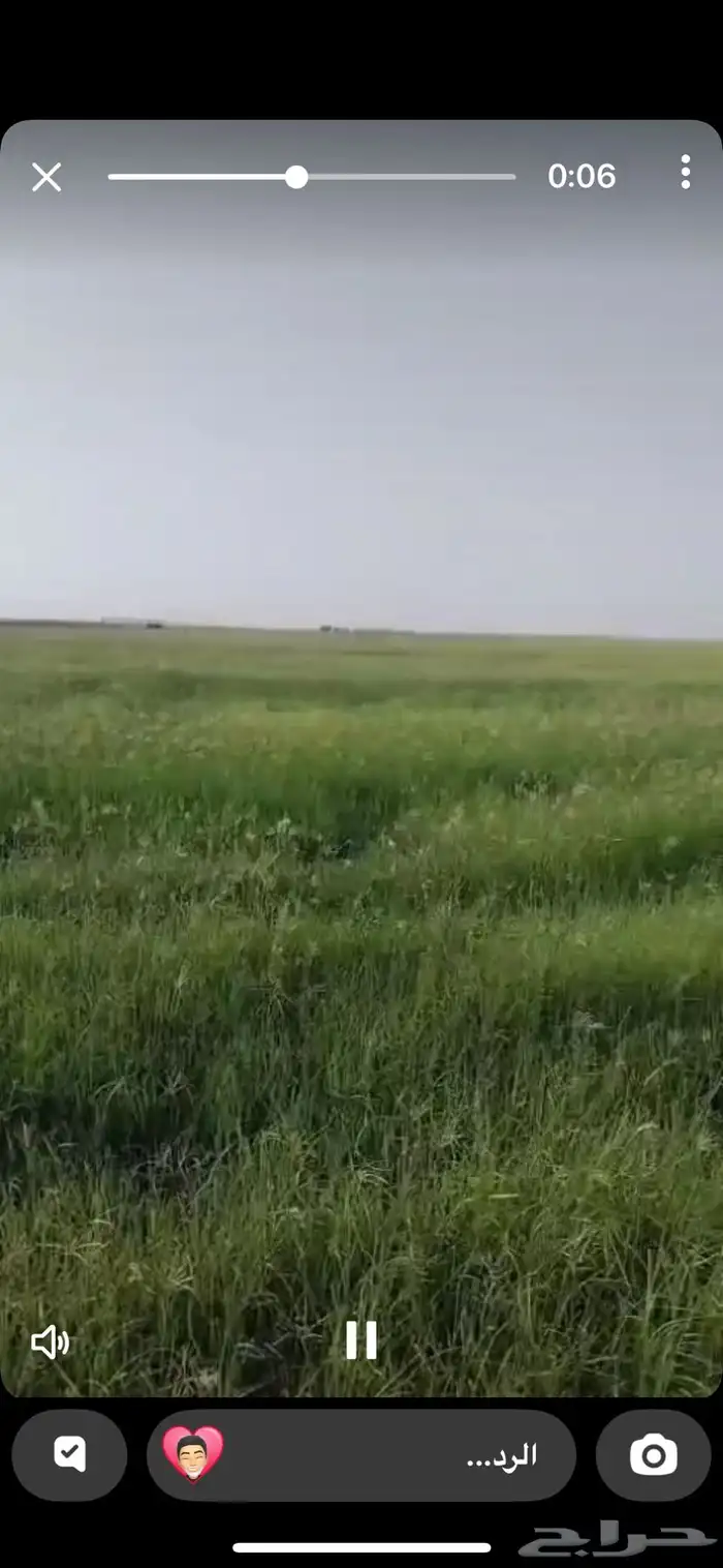رشاش رودس مزروع للمشاركه في حرض 2