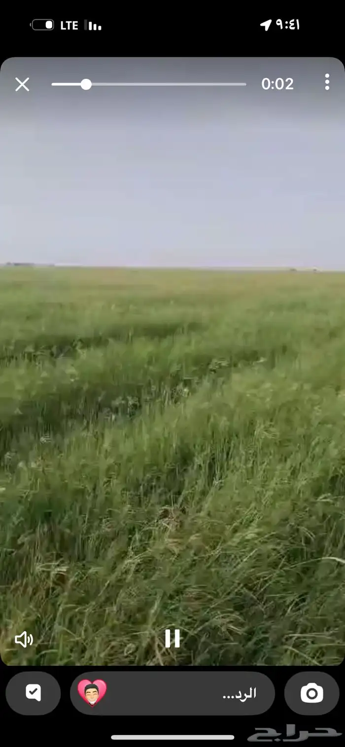 رشاش رودس مزروع للمشاركه في حرض 1