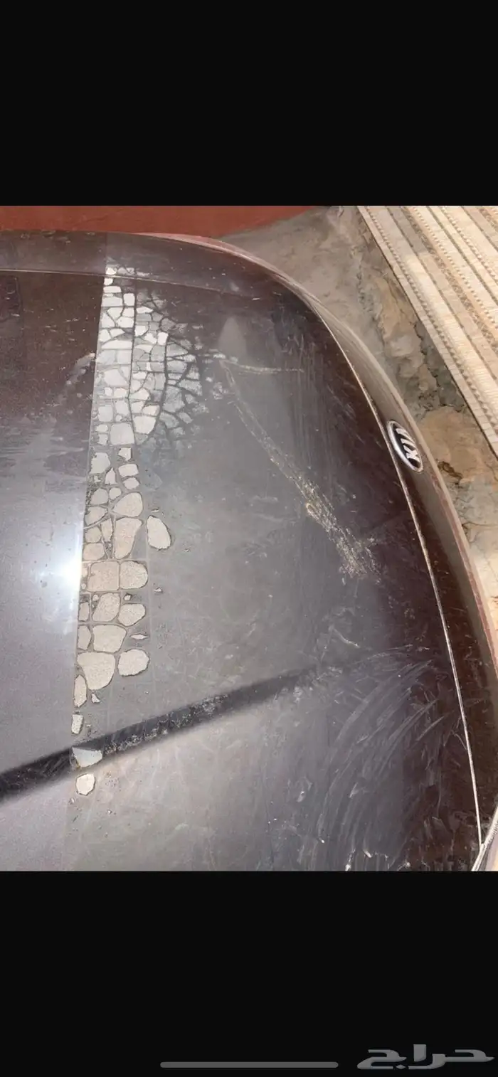 كادينزا 2018 11